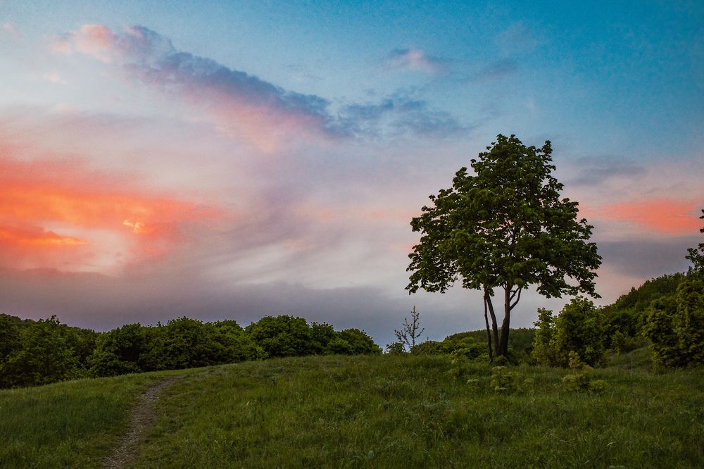 Photograph by Алла Никушкина