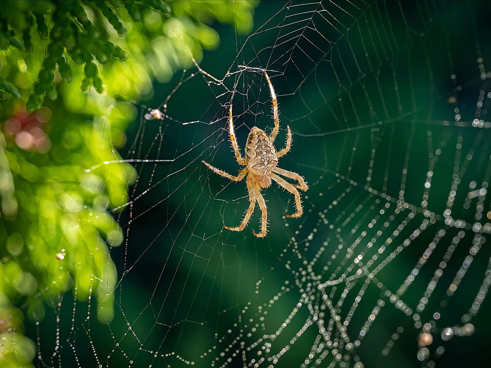 Photograph by Василий Губский