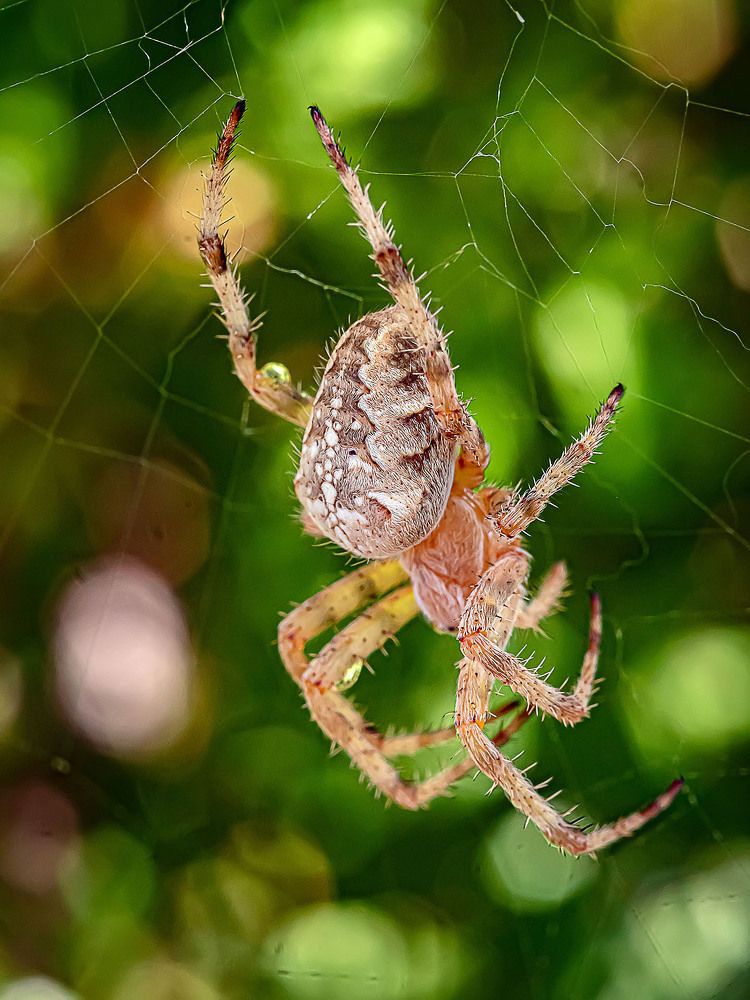 Photograph by Василий Губский