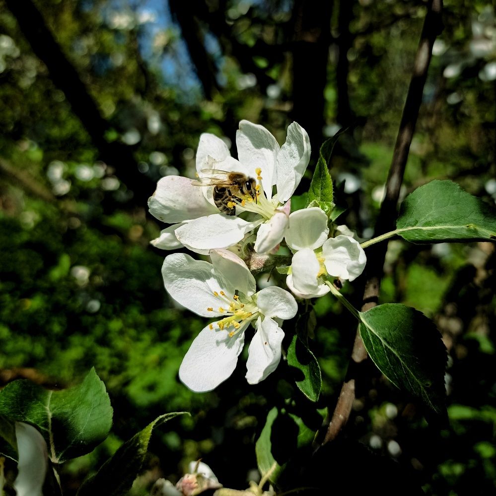Photograph by Ольга Стариченко
