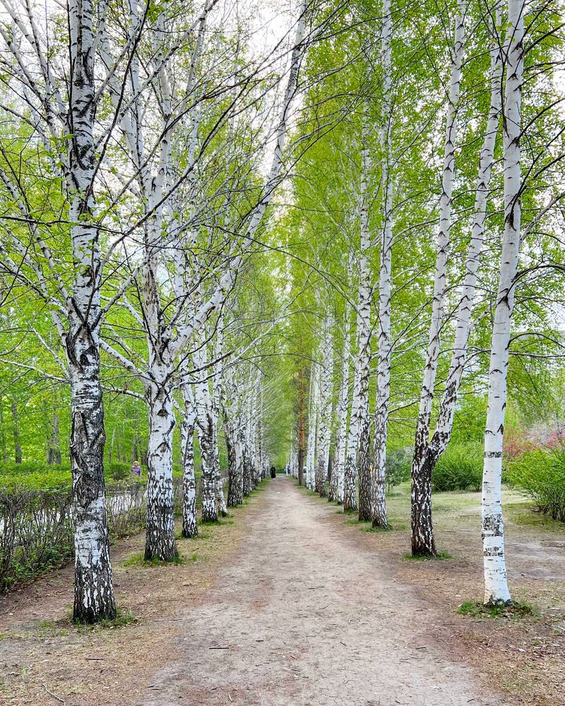 Photograph by Татьяна Волохова