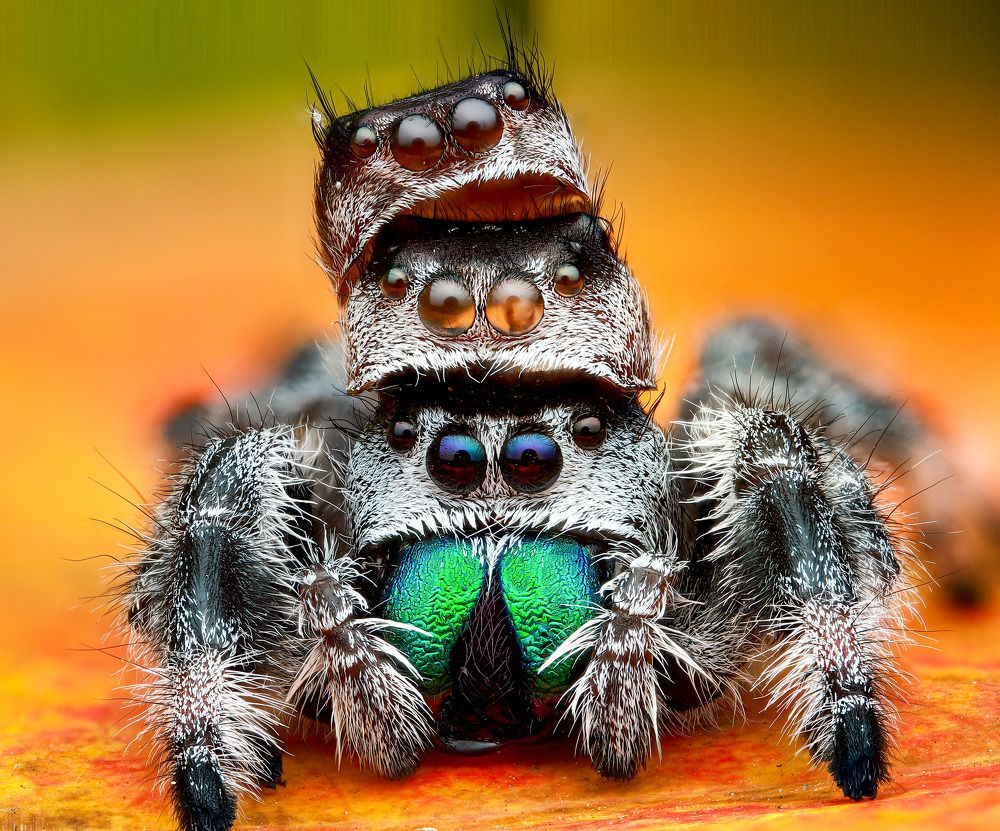 Photograph by Anh Nguyen