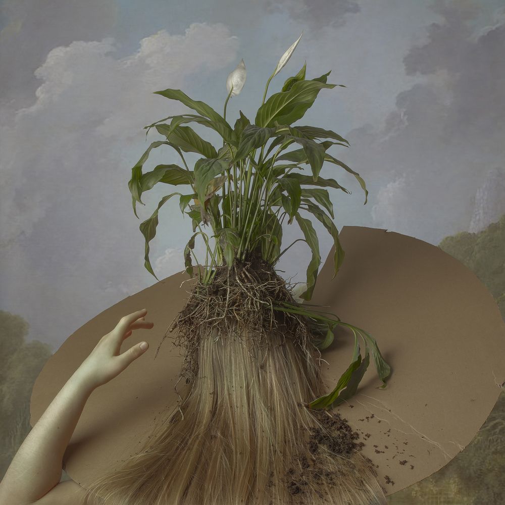 Photograph by Ирина Будниченко