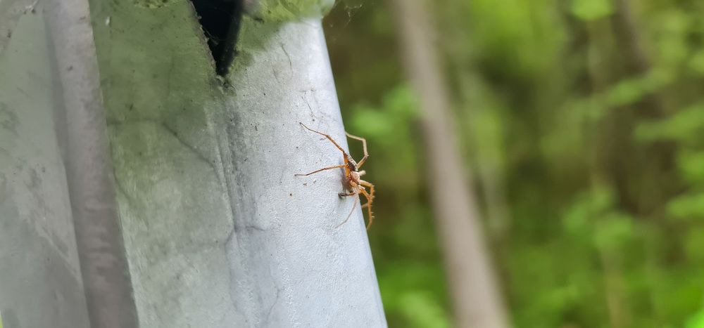 Photograph by Natasha Kim