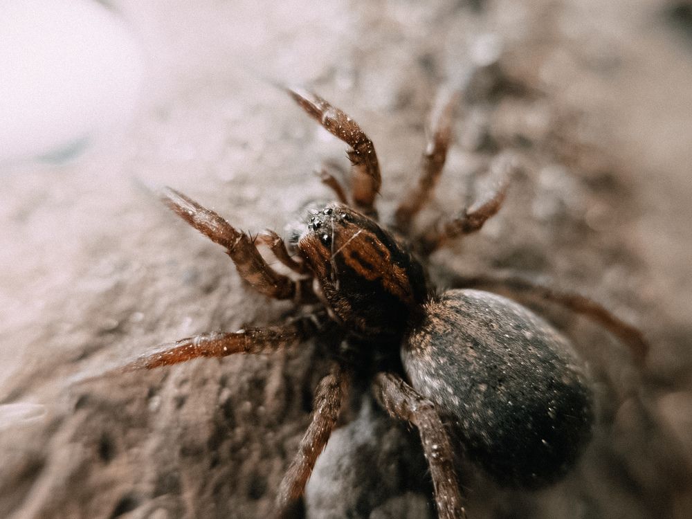 Photograph by Vitaliy