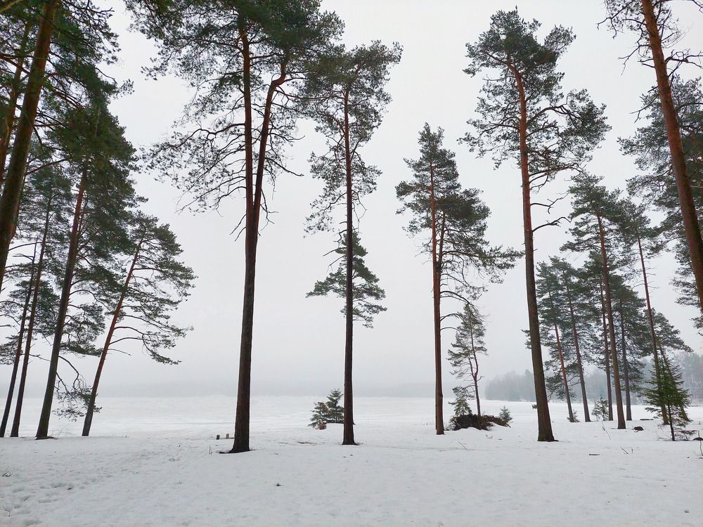 Photograph by Ирина Румянцева
