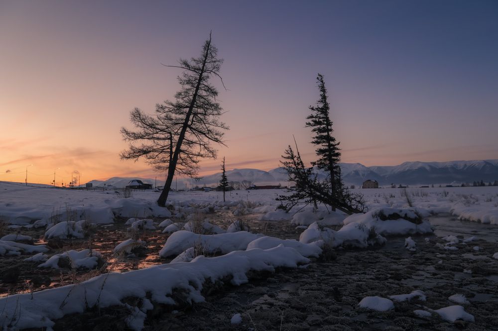 Photograph by Tatiana Meshcheryakova