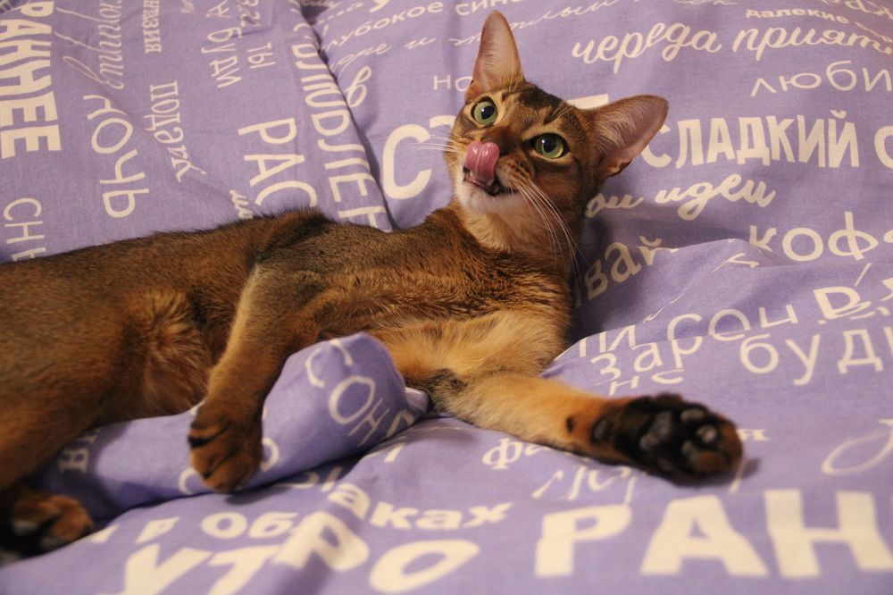 Photograph by Людмила Лапытова