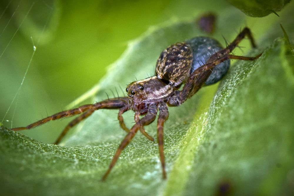 Photograph by Валерий