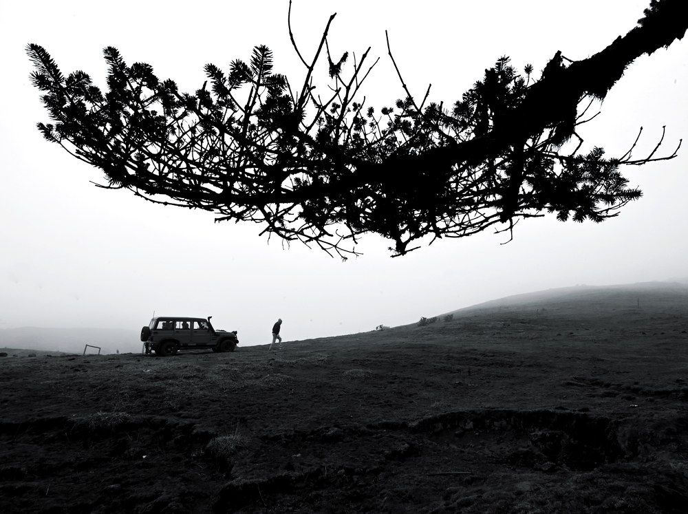 Photograph by Arka Chakraborty