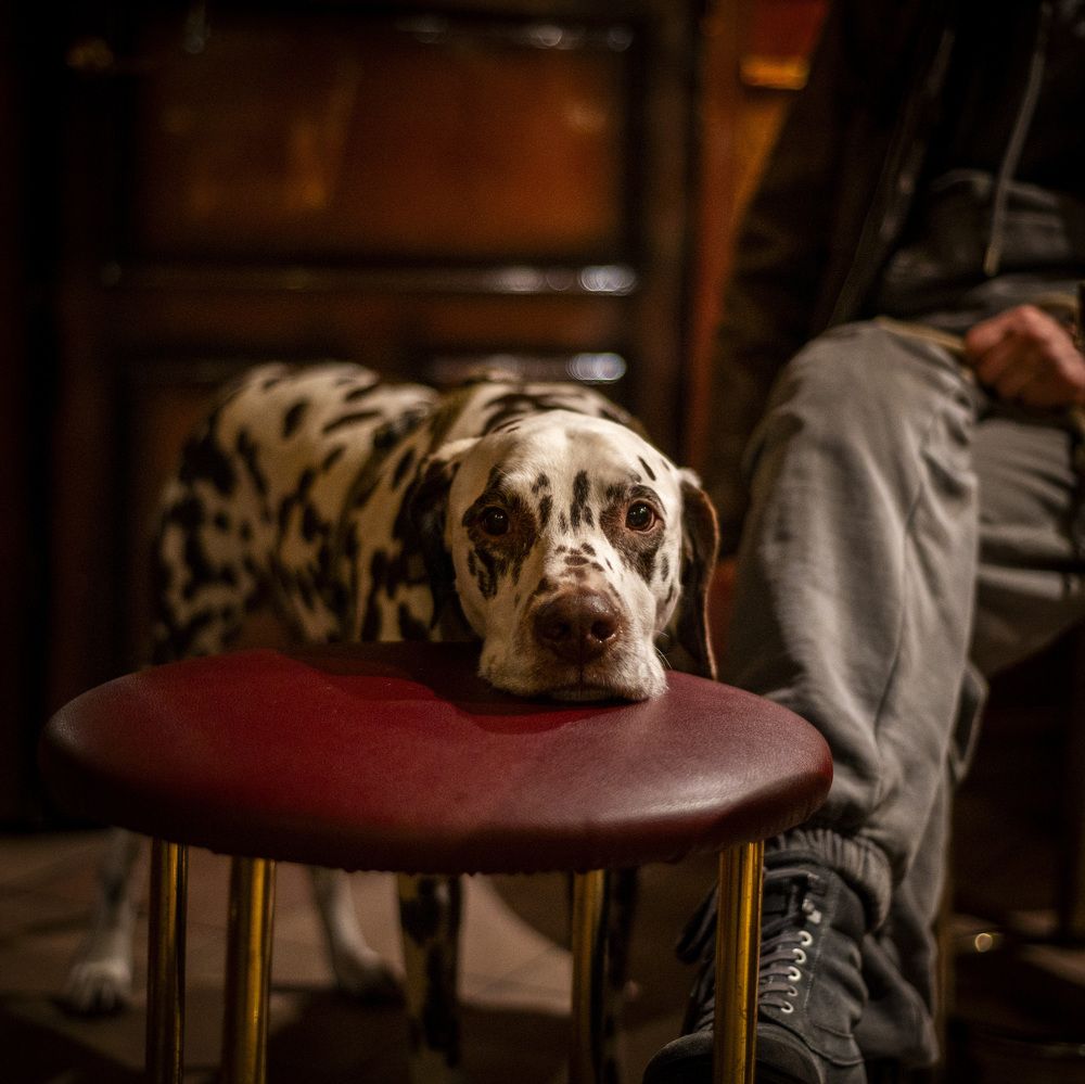 Photograph by Руслан Турянський