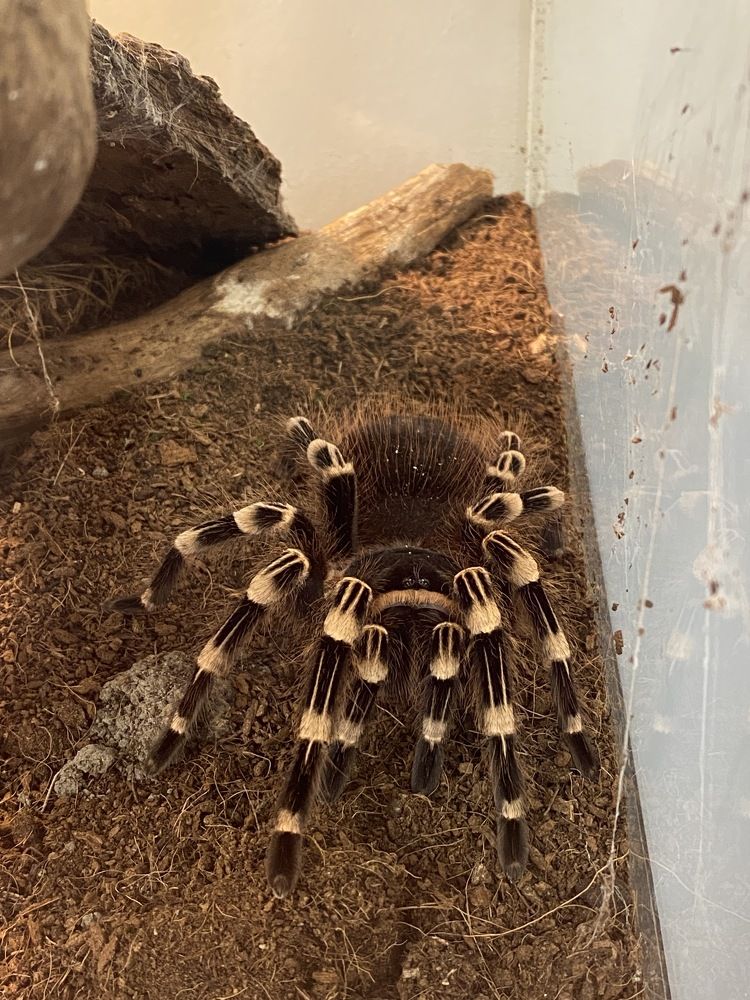 Photograph by Yuliana Shabovta