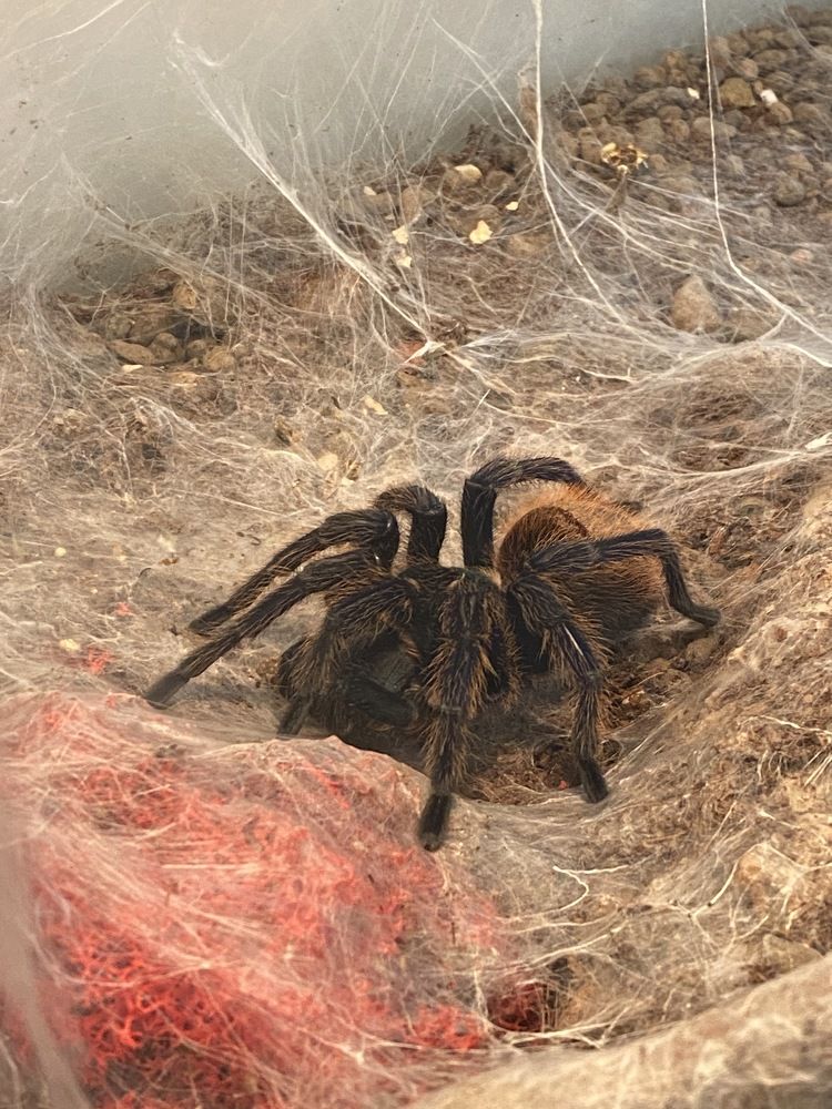 Photograph by Yuliana Shabovta