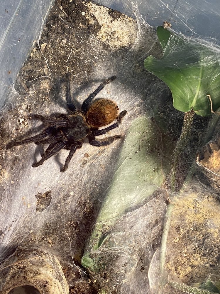 Photograph by Yuliana Shabovta