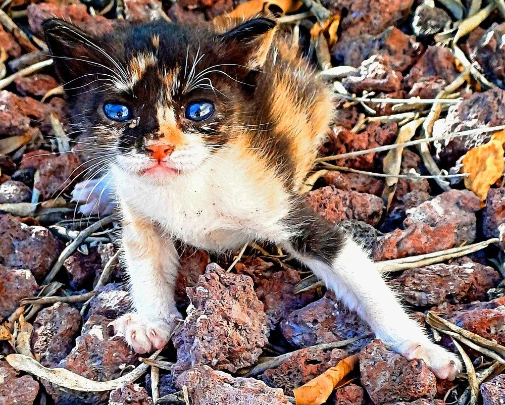 Photograph by Сергей Рапопорт