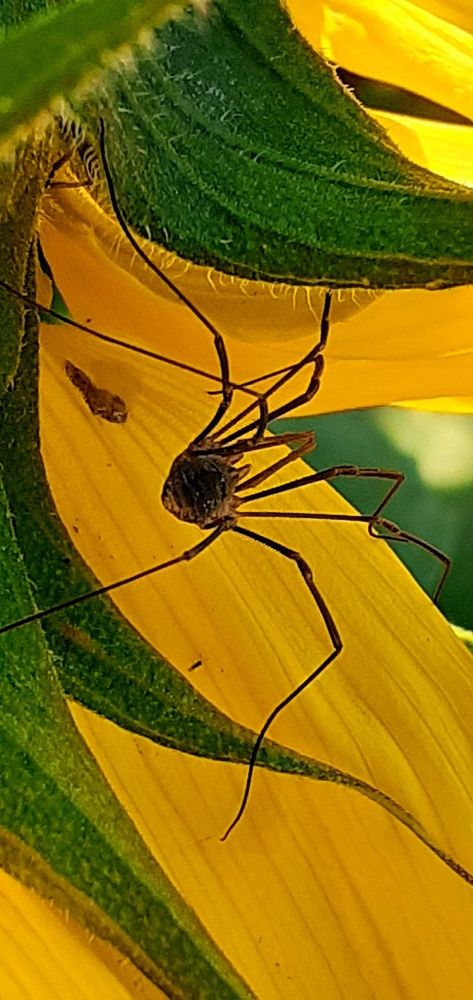 Photograph by Евгения Ульянова