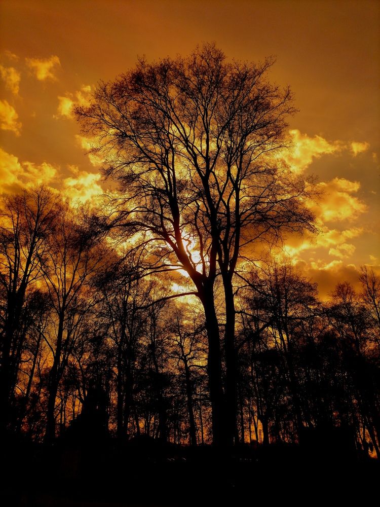 Photograph by Юлия Локалова