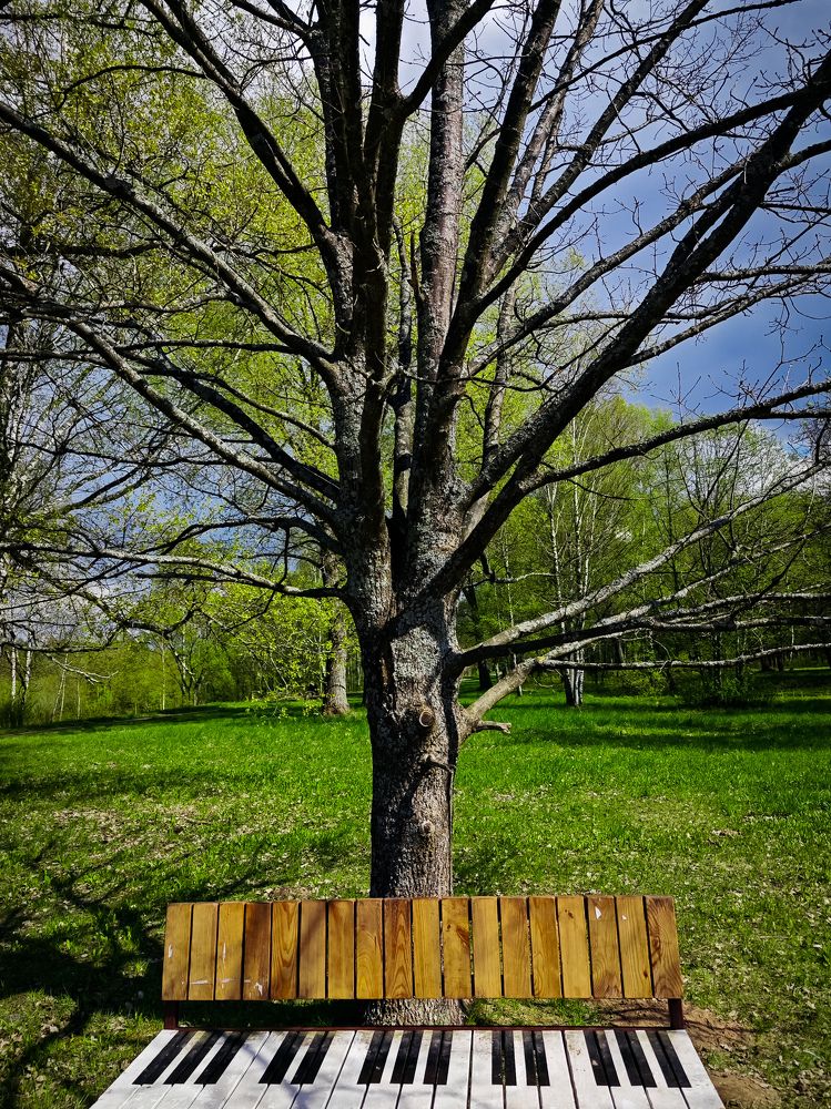 Photograph by Светлана Фоменко