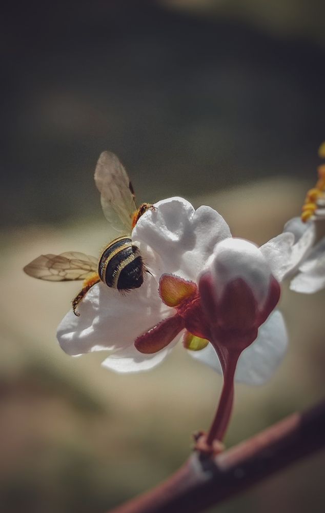 Фотография автора Анастасия Мамаева