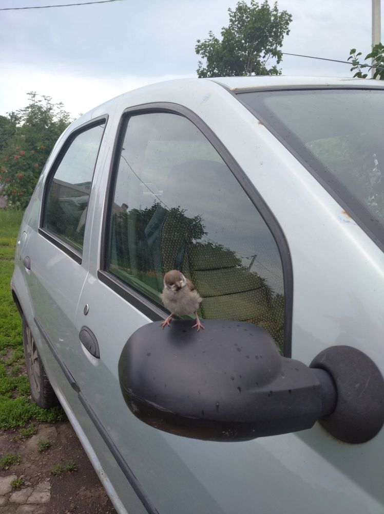 Photograph by Елена Коробченко