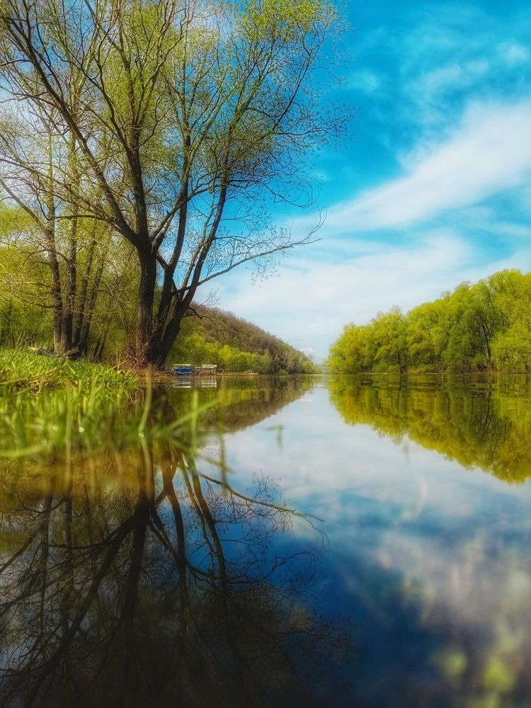 Photograph by Эльмира Гайнутдинова