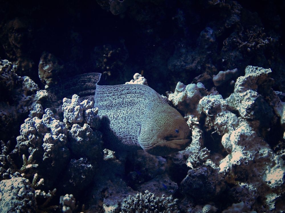 Photograph by Кирилл Леднев