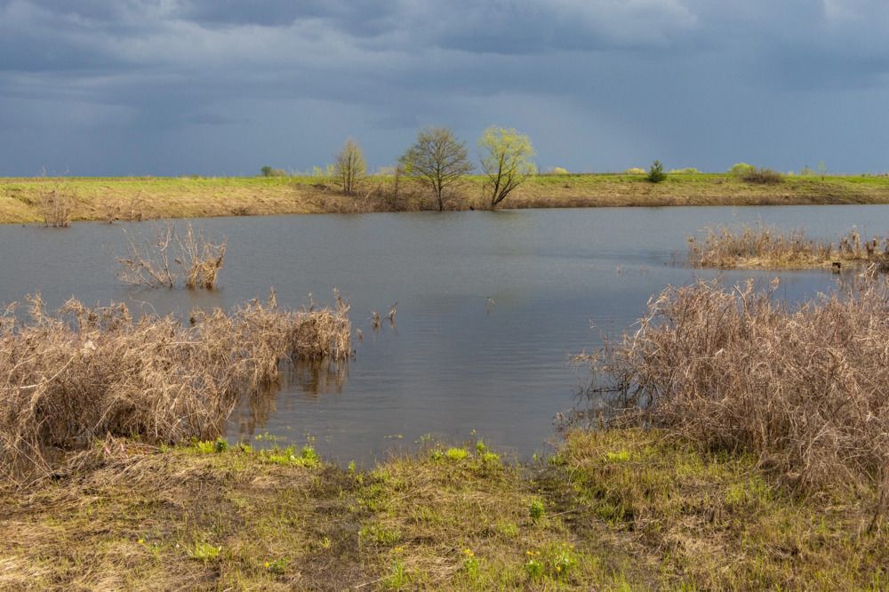 Photograph by Сергей Щербаков