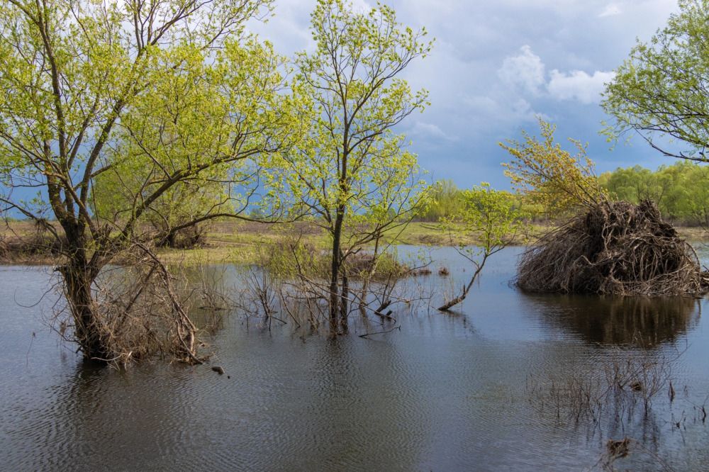 Photograph by Сергей Щербаков