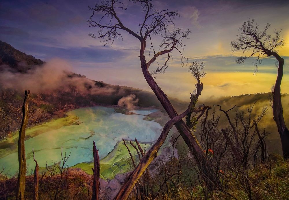 Фотография автора Henri Fitriadi