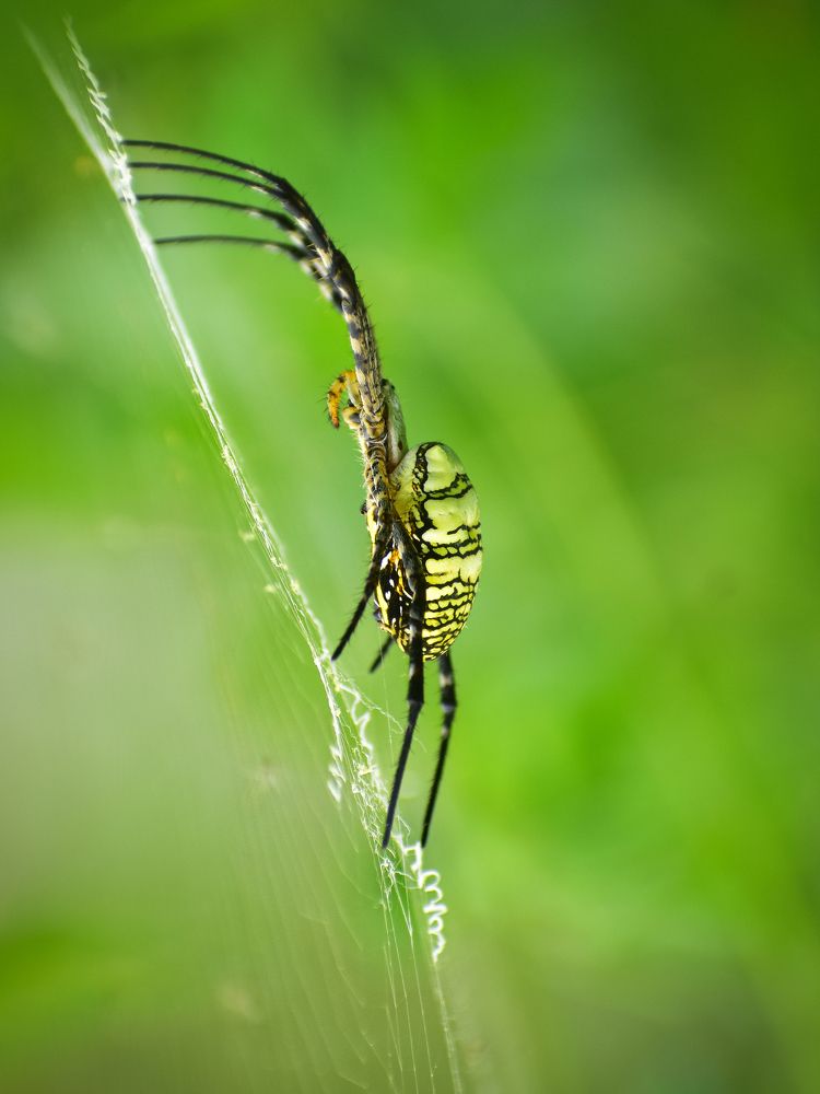 Photograph by Souradip Dey