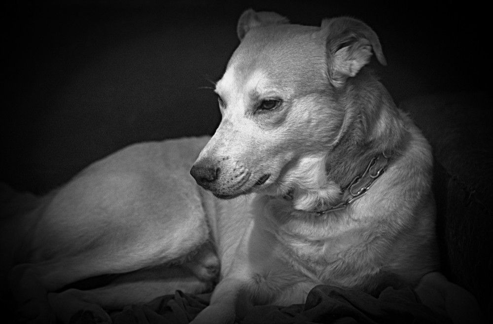 Photograph by Сергей Рапопорт