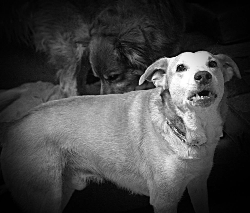 Photograph by Сергей Рапопорт