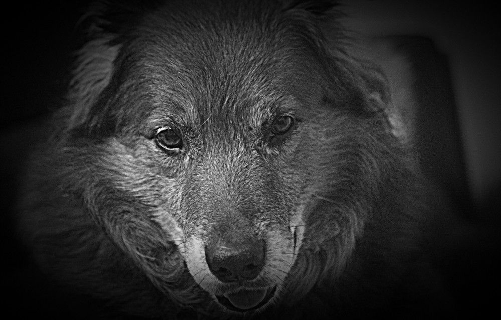 Photograph by Сергей Рапопорт