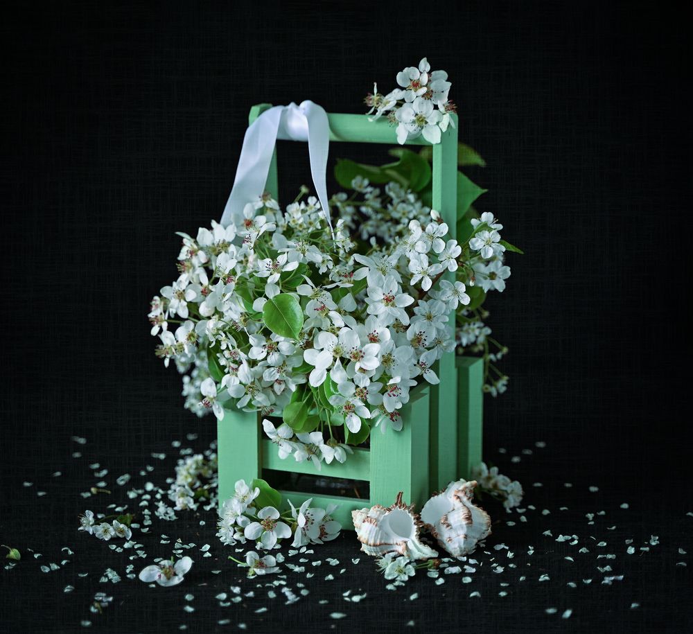 Photograph by Inna Ivanova