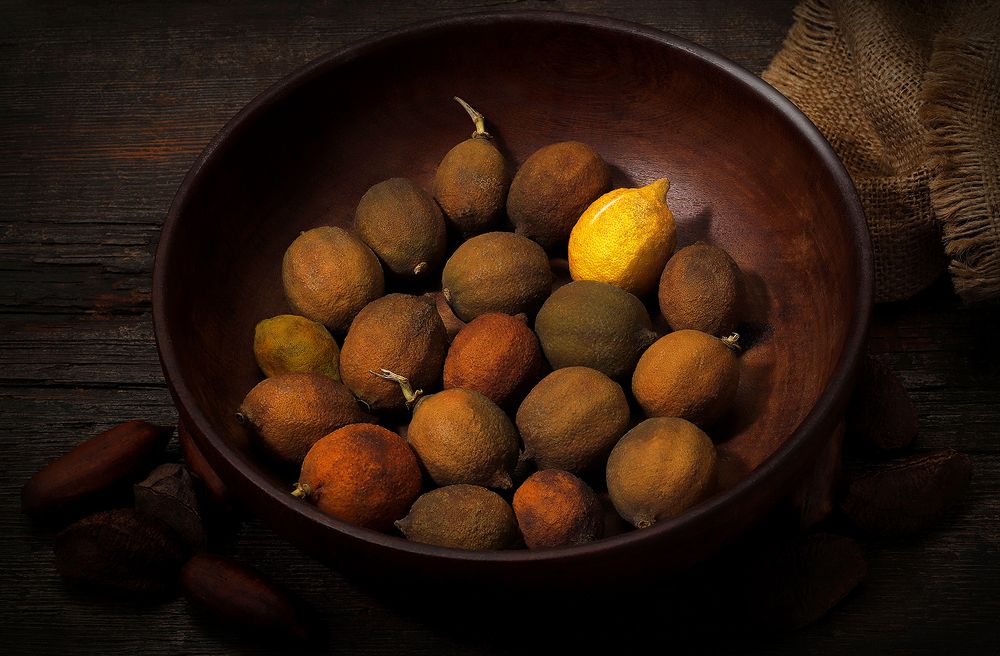 Photograph by Rovagnati Daniel