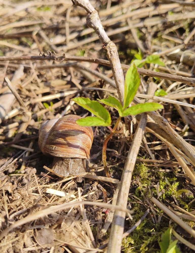 Photograph by Halina Basyanok