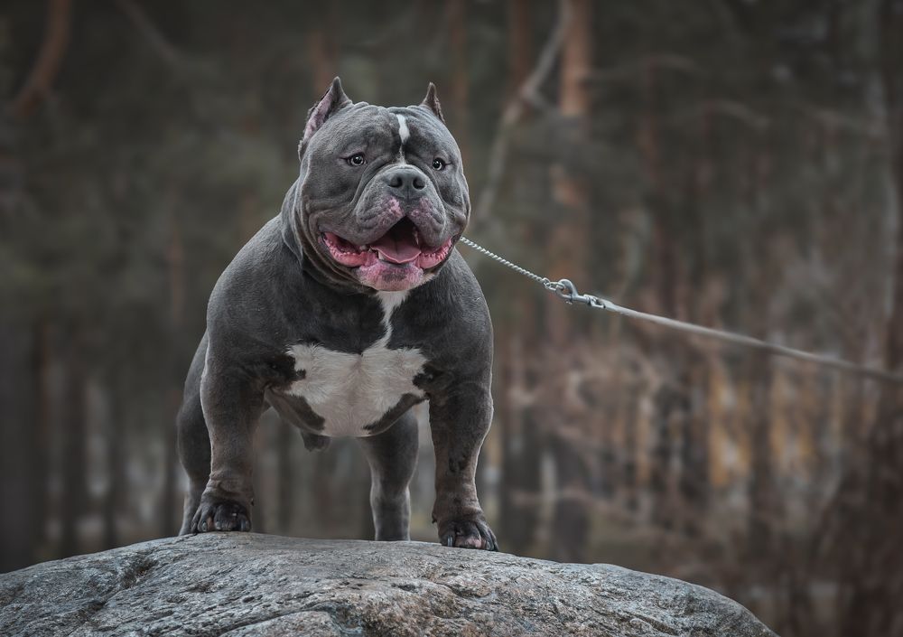 Photograph by Людмила Подольская