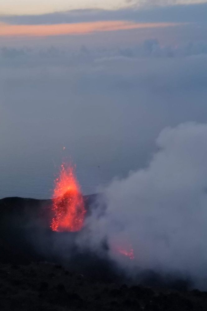 Photograph by Ruzena Suchánková