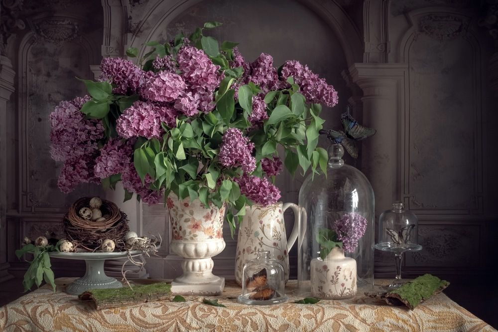 Фотография автора Виктория Шаманова