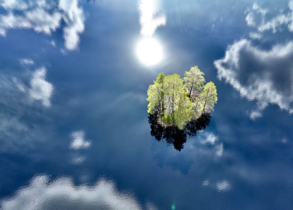 Photograph by Максим Григорьев