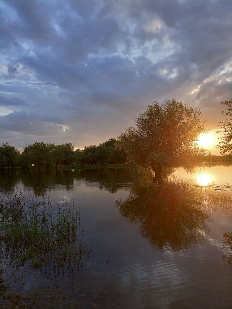 Зазеркалье