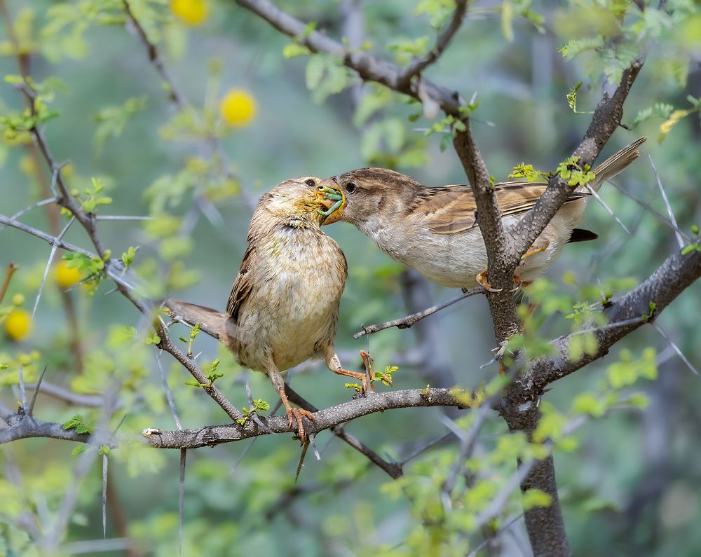 Фотография автора Sajeev Krishnan