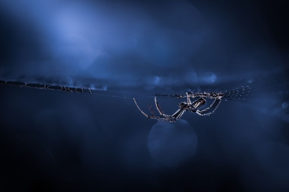 Photograph by Atul Saluja