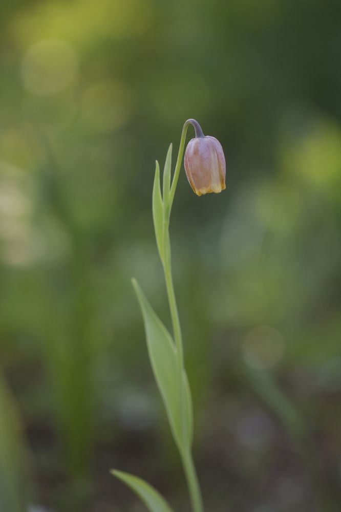 Photograph by Надежда Зайцева
