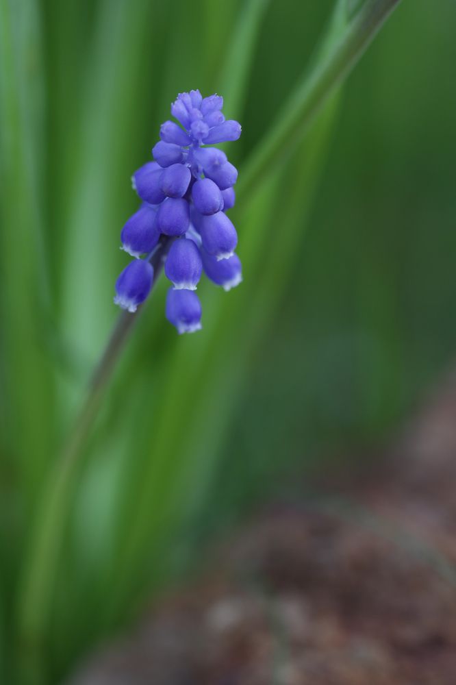 Photograph by Надежда Зайцева