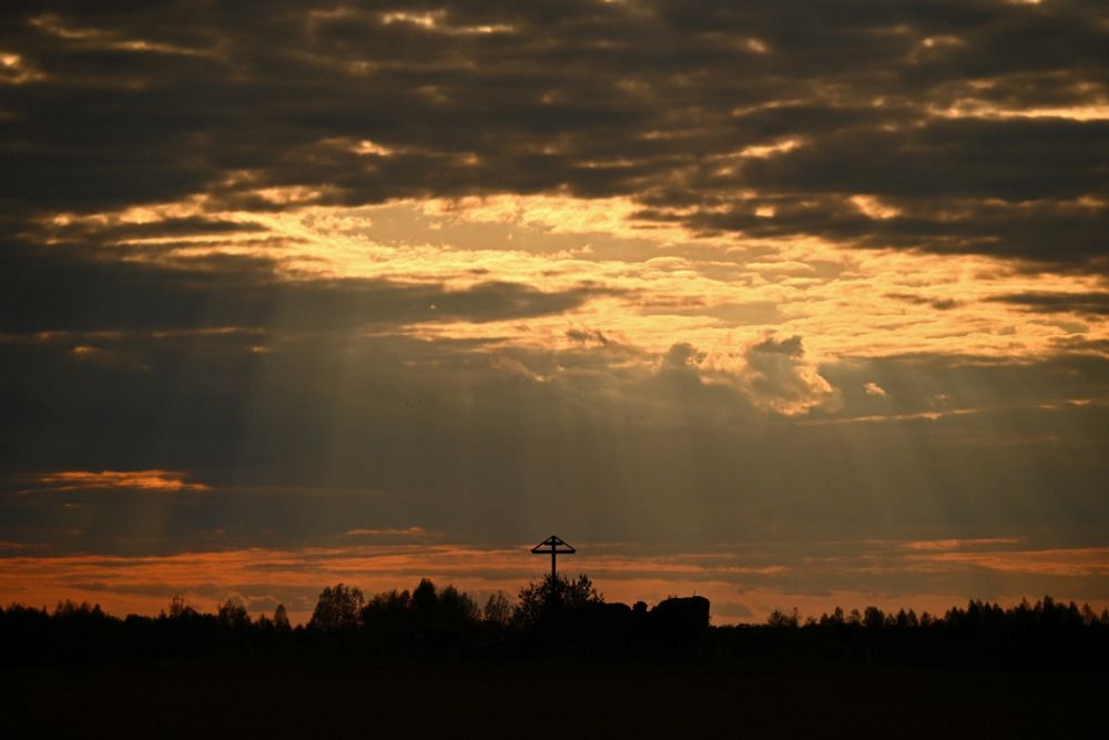Фотография автора Синицын Владислав