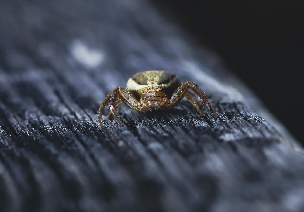 Photograph by Мария Ирешева