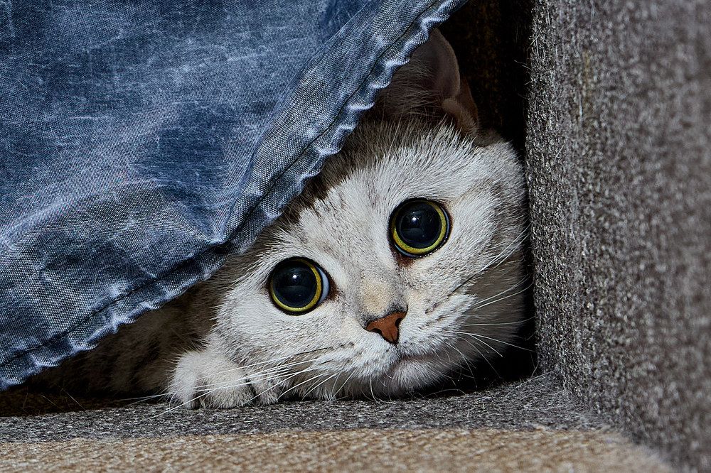 Photograph by Алексей Швецов