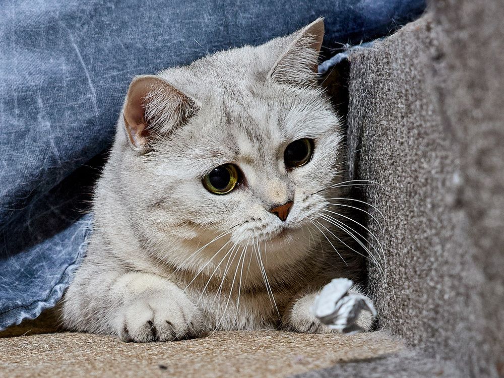 Photograph by Алексей Швецов