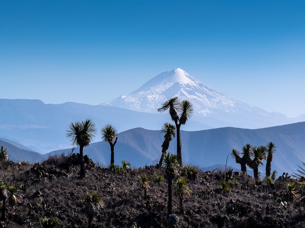 Photograph by Armando López-Guerrero